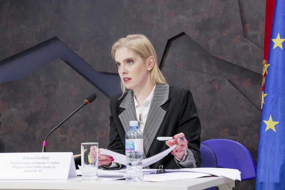 <p>Glavni pregovarač Crne Gore sa Evropskom unijom (EU) Predrag Zenović poručio je da je zajednički cilj da se kroz otvoreni dijalog i konstruktivne predloge NVO doprinese jačanju napora državne uprave u oblasti vladavine prava, kao i osiguravanju šireg društvenog konsenzusa povodom najvažnijih društvenih pitanja</p>