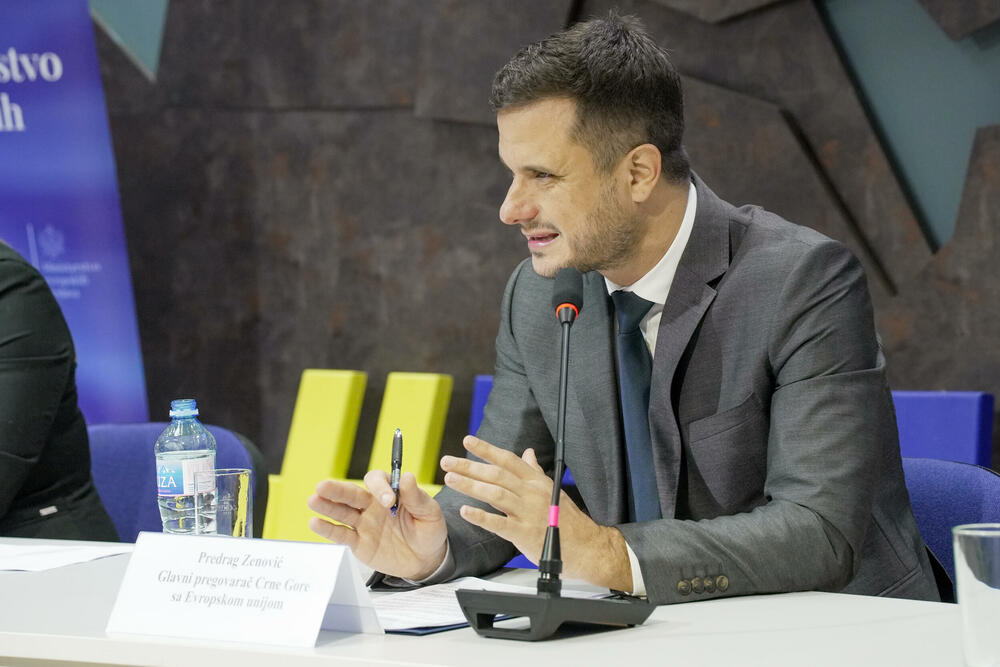 <p>Glavni pregovarač Crne Gore sa Evropskom unijom (EU) Predrag Zenović poručio je da je zajednički cilj da se kroz otvoreni dijalog i konstruktivne predloge NVO doprinese jačanju napora državne uprave u oblasti vladavine prava, kao i osiguravanju šireg društvenog konsenzusa povodom najvažnijih društvenih pitanja</p>