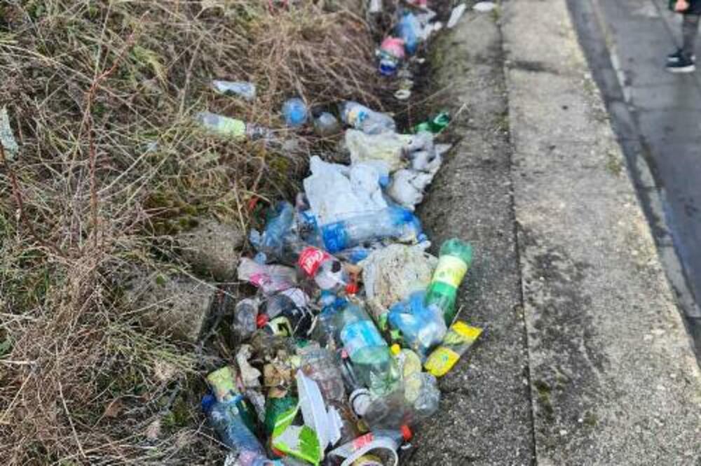 Foto: Jadranka Ćetković