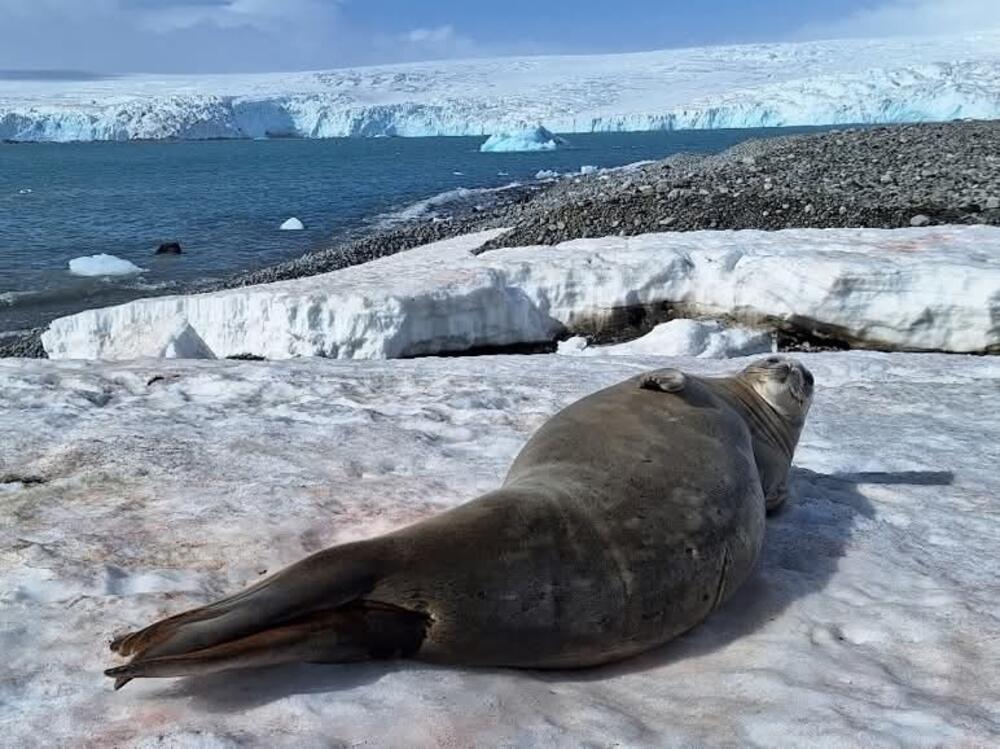 Priroda koja oduzima dah
