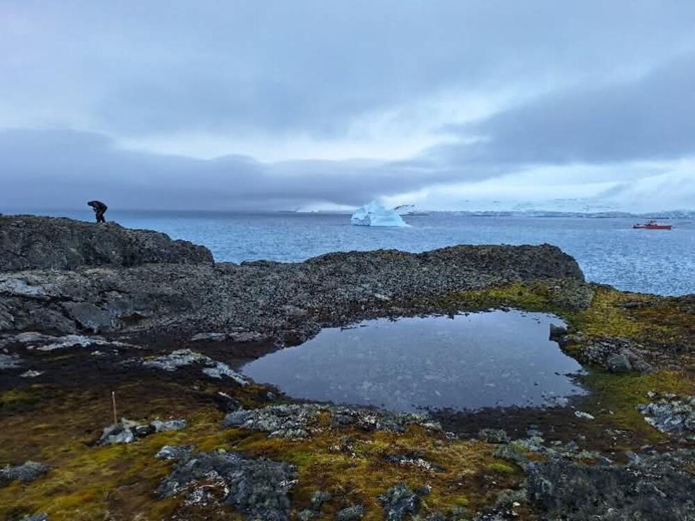 <p>Prva crnogorska naučnica koja je boravila i istraživala na području dalekog kontinenta na južnoj hemisferi o ljepoti divljine koja oduzima dah, solidarnosti među istraživačima, ali i o pronađenoj mikroplastici koja ne daje nadu da će taj do sada nezagađeni dio planete takav i ostati</p>