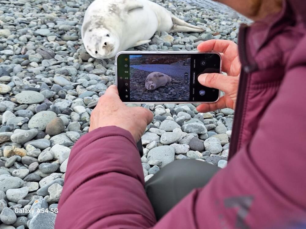 <p>Prva crnogorska naučnica koja je boravila i istraživala na području dalekog kontinenta na južnoj hemisferi o ljepoti divljine koja oduzima dah, solidarnosti među istraživačima, ali i o pronađenoj mikroplastici koja ne daje nadu da će taj do sada nezagađeni dio planete takav i ostati</p>