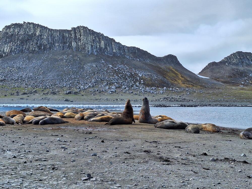 <p>Prva crnogorska naučnica koja je boravila i istraživala na području dalekog kontinenta na južnoj hemisferi o ljepoti divljine koja oduzima dah, solidarnosti među istraživačima, ali i o pronađenoj mikroplastici koja ne daje nadu da će taj do sada nezagađeni dio planete takav i ostati</p>