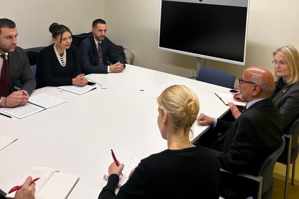 Na sastanku sa predstavnicima UN-a za ekonomska i socijalna pitanja, Foto: Ministarstvo turizma i održivog razvoja