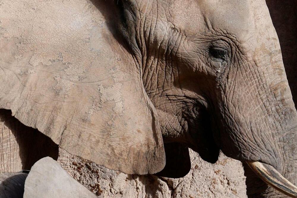 Foto: EPA-EFE/REX/Shutterstock