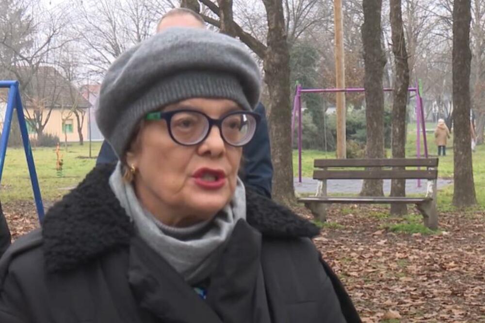 Gojković, Foto: Screenshot/Youtube/Radio-televizija Vojvodine