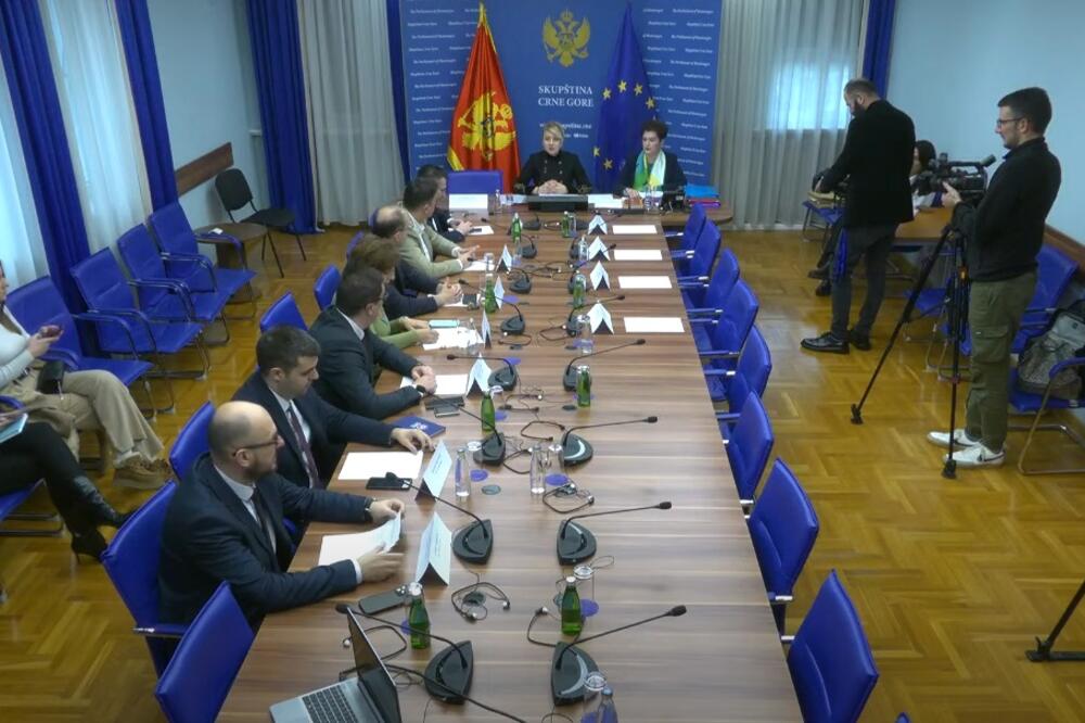 Foto: Skupština/Youtube