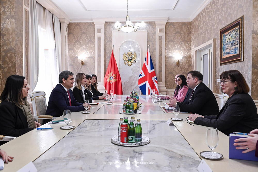 Detalj sa sastanka, Foto: Bojana Ćupić/Vlada CG