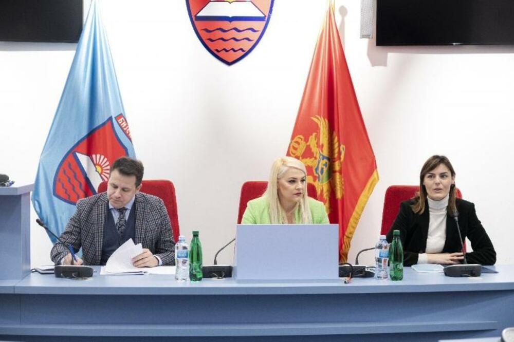 Foto: Ministarstvo regionalno-investicionog razvoja i saradnje sa nevladinim organizacijama