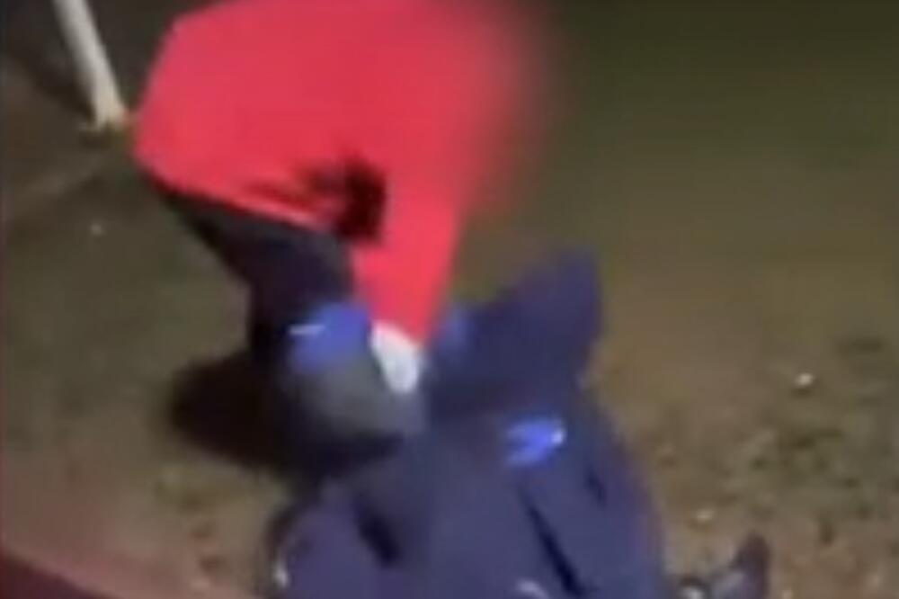 Detalj sa snimka, Foto: Printscreen