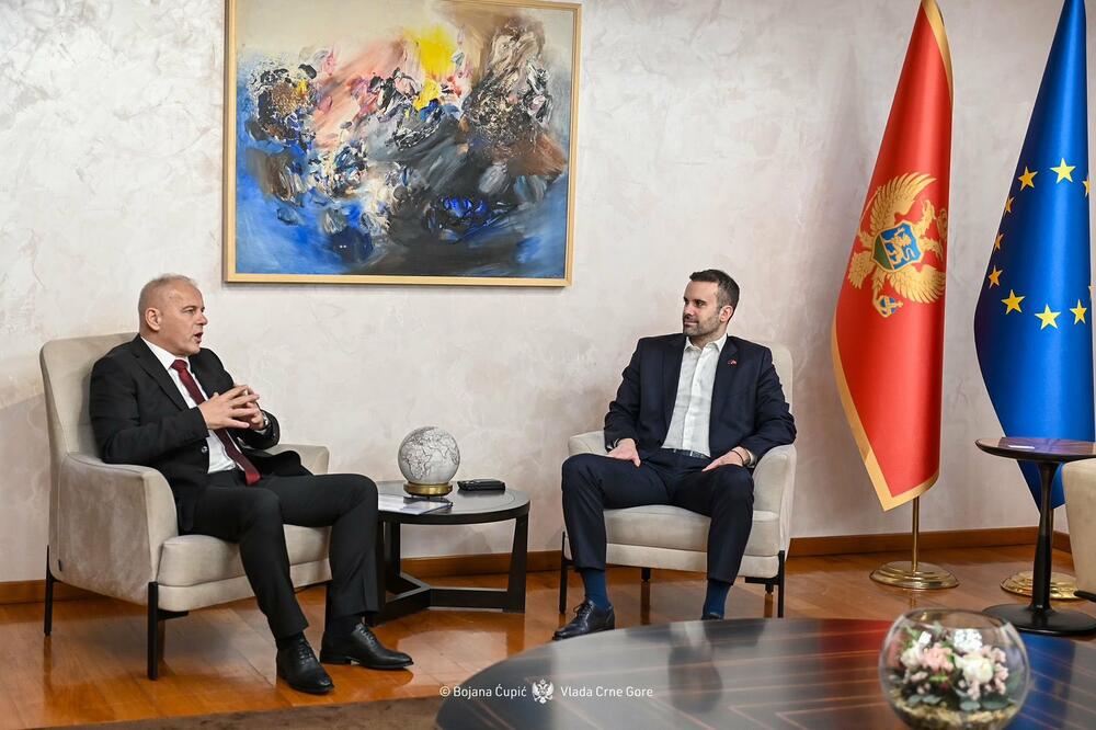 Radenko Damjanović, Milojko Spajić