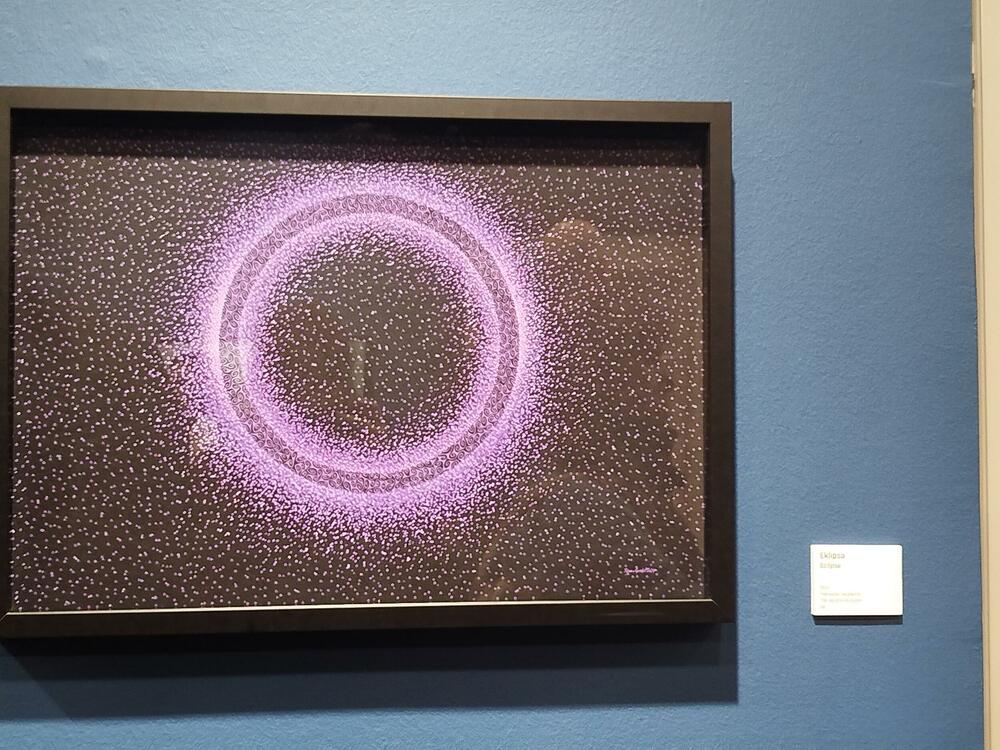 <p>Izložba u Perjaničkom domu u Podgorici: "Njene slike su most između zvuka, geometrije i vječnog plesa svjetlosti i tame"</p>