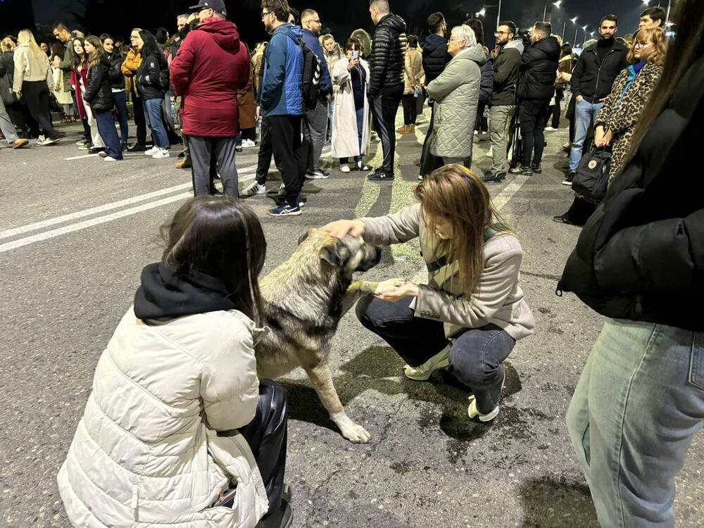 <p>Blokada mosta Blaža Jovanovića u Podgorici trajala od 17:26 do 18:30 časova. Studenti kazali da ništa nije urađeno kako se zločin na Cetinju ne bi ponovio</p>
