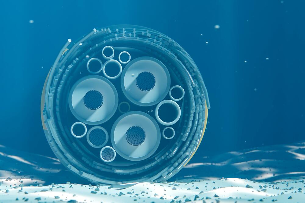 Ilustracija, Foto: Shutterstock