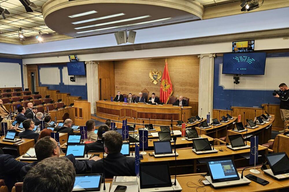 Detalj iz plenarne sale, Foto: Nikola Dragaš