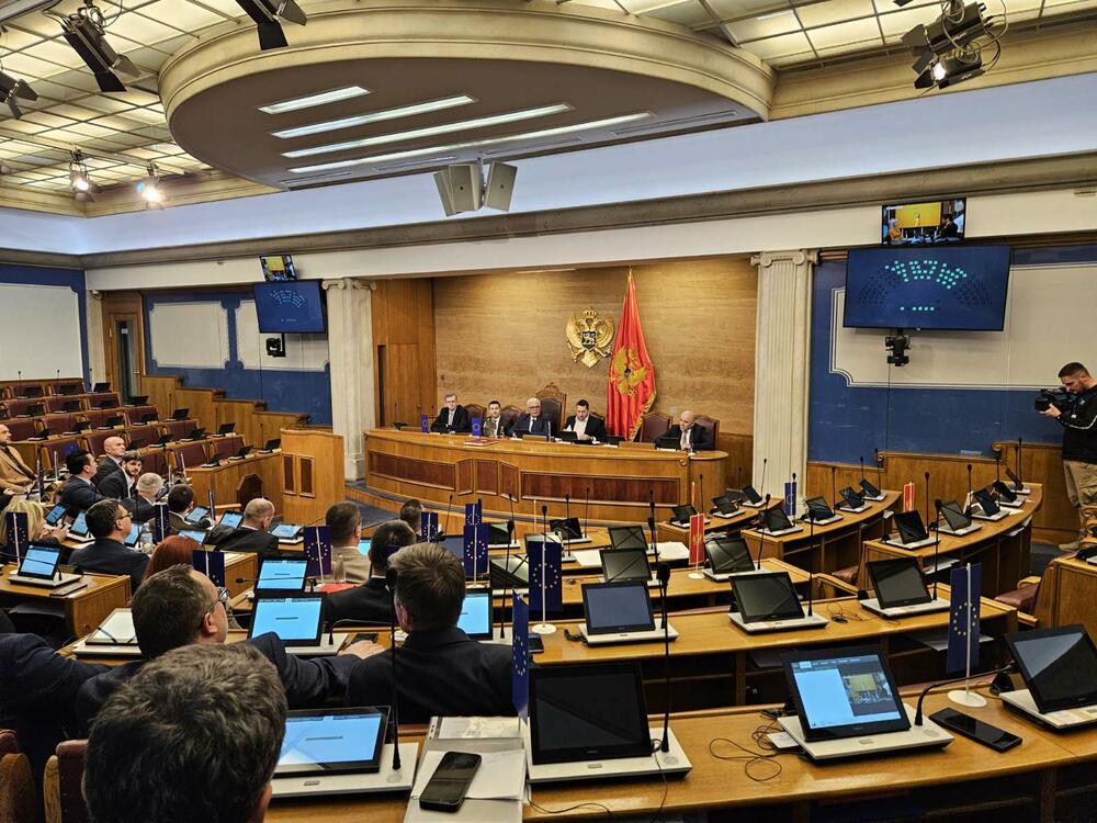 <p>Mandić je zaključio sjednicu i rekao poslanicima da će o nastavku biti obaviješteni</p>