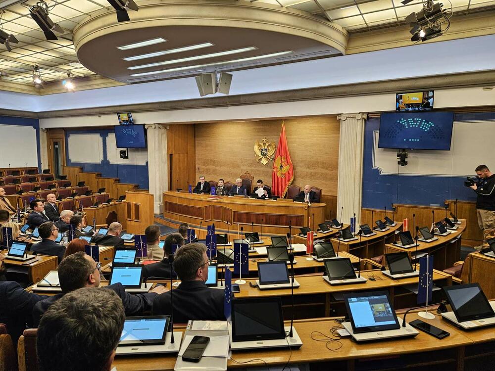 <p>Mandić je zaključio sjednicu i rekao poslanicima da će o nastavku biti obaviješteni</p>