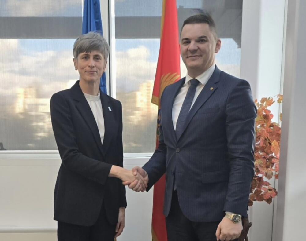 Ekaterina Paniklova i Admir Šahmanović