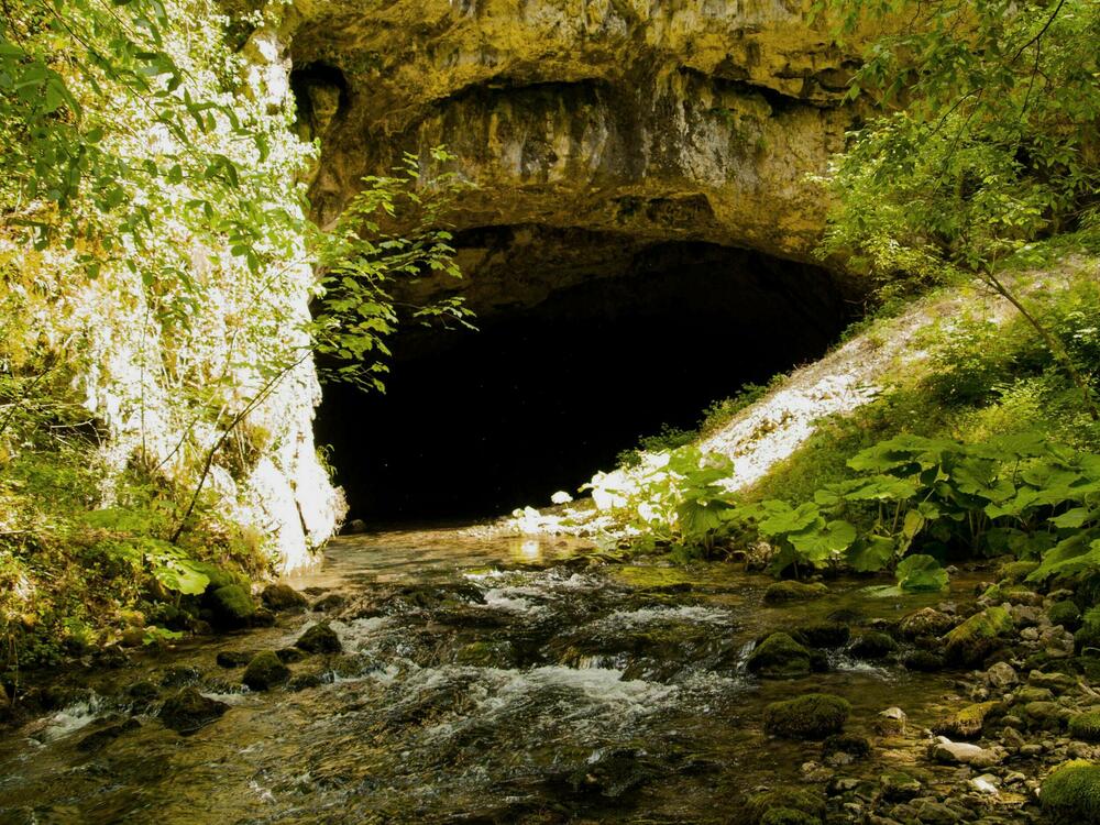 Glava Bistrice