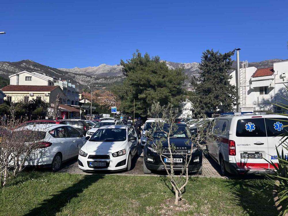 <p>Nikola Jovanović izabran za novog predsjednika Opštine Budva, glasovima liste "Budva naš grad", DPS-a, Evropskog saveza i GP URA</p>  <p>Protiv izbora Jovanovića bila su dva odbornika Pokreta za Grad</p>  <p>Odbornici koalicije "Za budućnost Budve", Demokrata i PES-a napustili sjednicu prije glasanja</p>