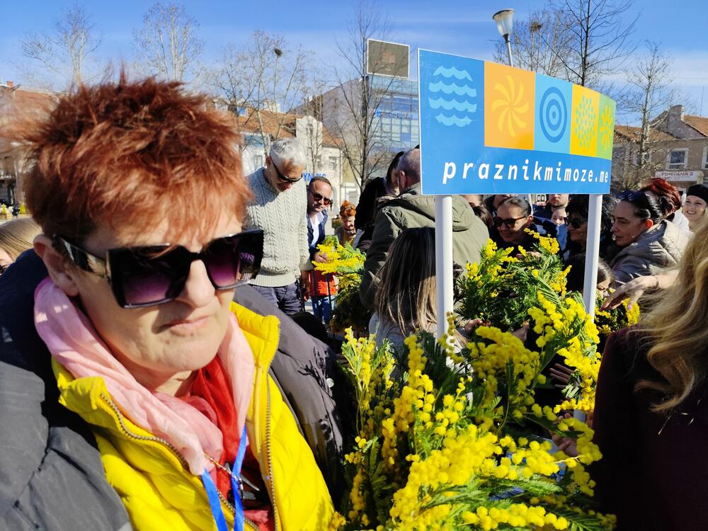 <p>"Generalno je sjajna saradnja lokalnih samouprava i lokalnih turističkih organizacija Nikšića i Herceg Novog. Siguran sam da će tako biti i u budućnosti i da nikada više nećemo doći u situaciju da mimoze 20 godine ne bude u Nikšiću", poručio je Barać</p>