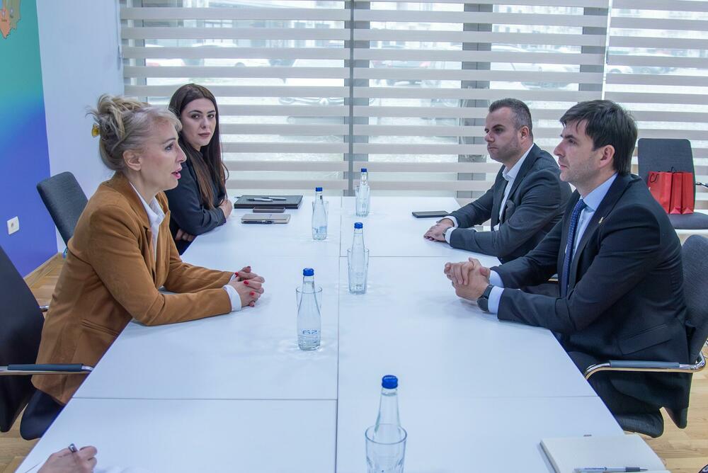 <p>Najavljena je organizacija promotivnih događaja i aktivnosti koje će omogućiti dijaspori da se informiše o potencijalima za ulaganja u opštine kao i podrška realizaciji projekata od interesa za dijasporu i lokalne samouprave</p>