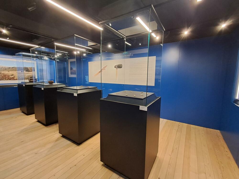 <p>The castle was built in the second half of the 19<sup>th</sup> century and the famous Duke of Piva, Lazar Sočica lived in it. The castle was one of the largest and the most beautiful houses in that time in Montenegro</p>