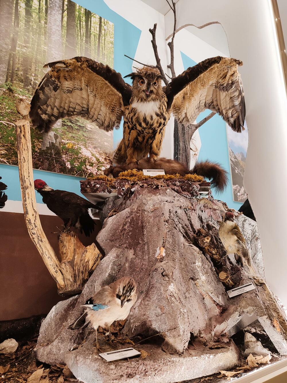 <p>The castle was built in the second half of the 19<sup>th</sup> century and the famous Duke of Piva, Lazar Sočica lived in it. The castle was one of the largest and the most beautiful houses in that time in Montenegro</p>