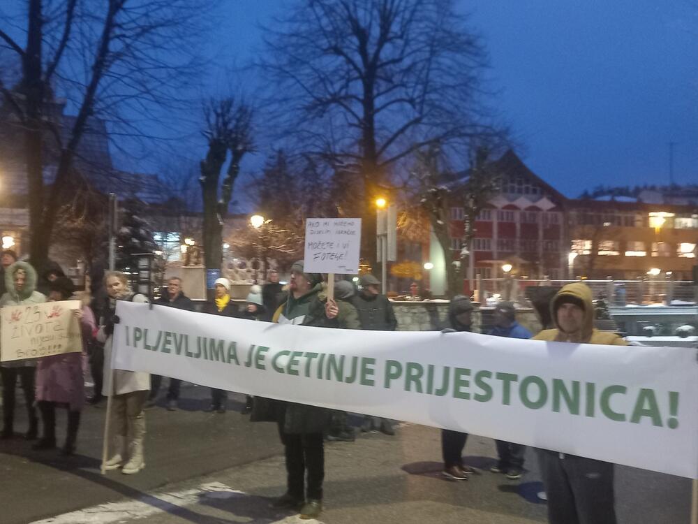 <p>Sve vrijeme građani su stvarali buku duvajući u pištaljke i trube</p>