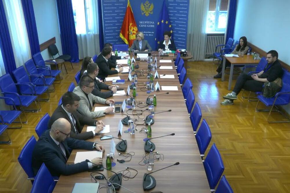 Foto: Skupština/Youtube