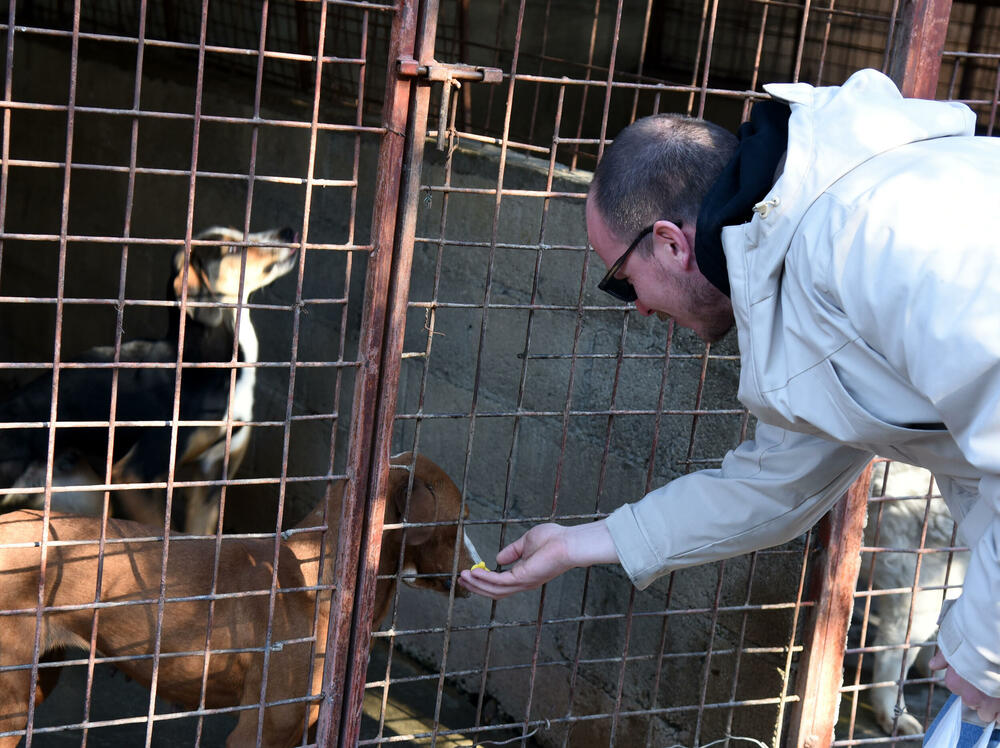 <p>Udruženje glumaca organizovalo posjetu skloništu na Vrelima, pozvali i druge da učine isto</p>