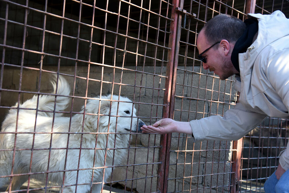 <p>Udruženje glumaca organizovalo posjetu skloništu na Vrelima, pozvali i druge da učine isto</p>