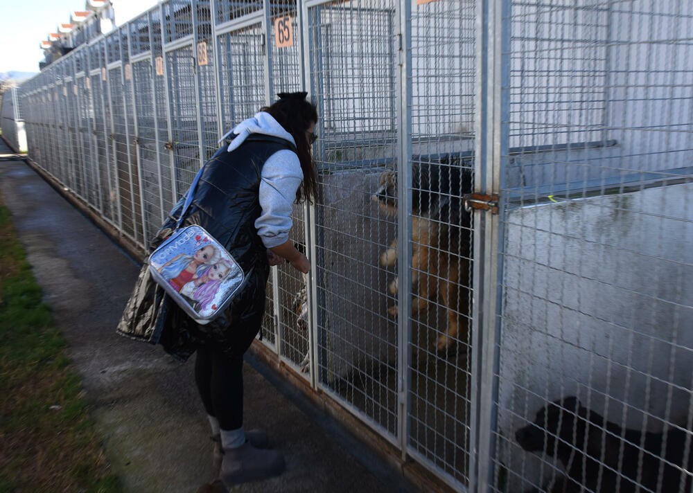 <p>Udruženje glumaca organizovalo posjetu skloništu na Vrelima, pozvali i druge da učine isto</p>
