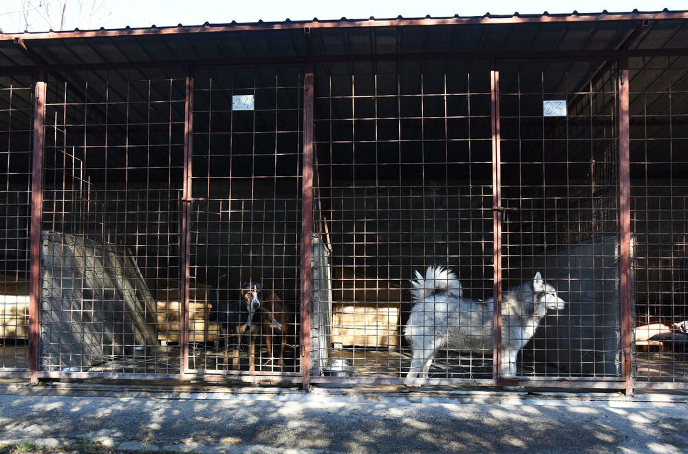 <p>Udruženje glumaca organizovalo posjetu skloništu na Vrelima, pozvali i druge da učine isto</p>