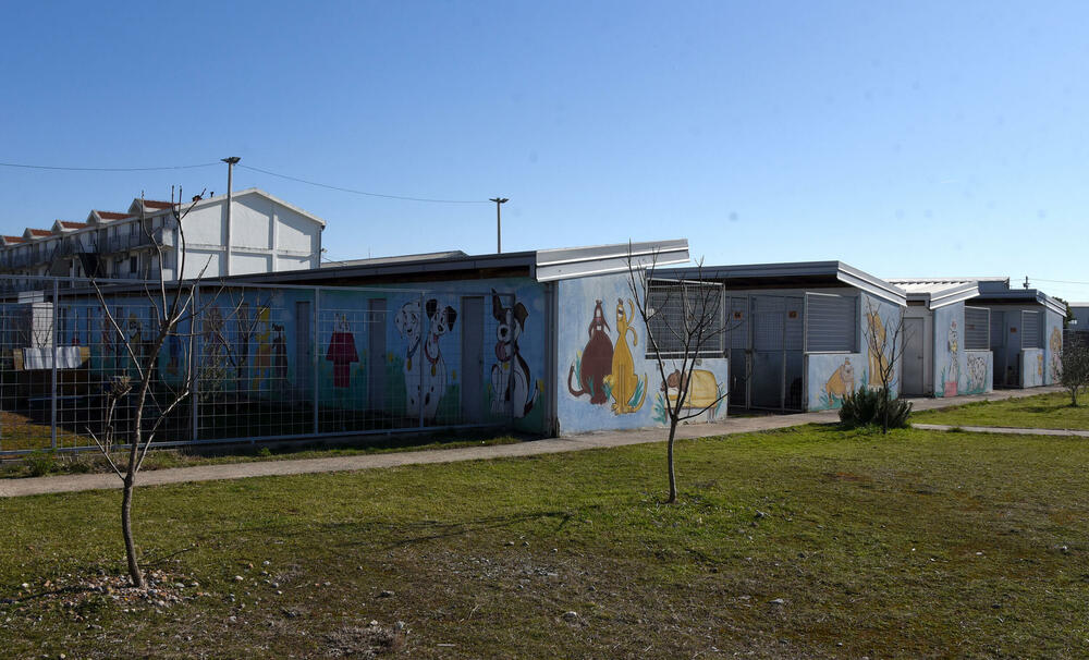 <p>Udruženje glumaca organizovalo posjetu skloništu na Vrelima, pozvali i druge da učine isto</p>