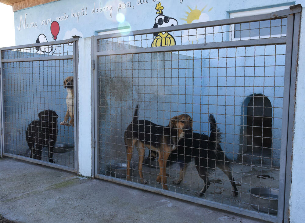 <p>Udruženje glumaca organizovalo posjetu skloništu na Vrelima, pozvali i druge da učine isto</p>