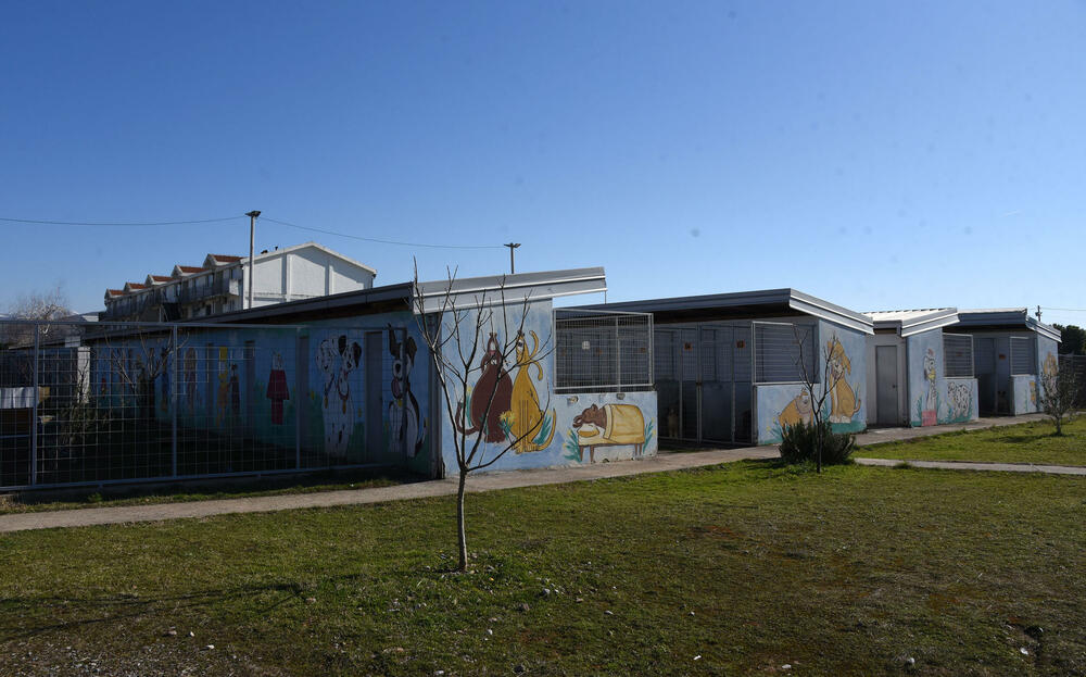 <p>Udruženje glumaca organizovalo posjetu skloništu na Vrelima, pozvali i druge da učine isto</p>