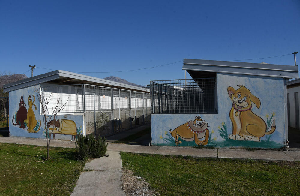 <p>Udruženje glumaca organizovalo posjetu skloništu na Vrelima, pozvali i druge da učine isto</p>