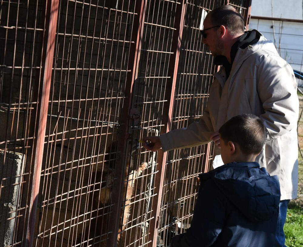 <p>Udruženje glumaca organizovalo posjetu skloništu na Vrelima, pozvali i druge da učine isto</p>
