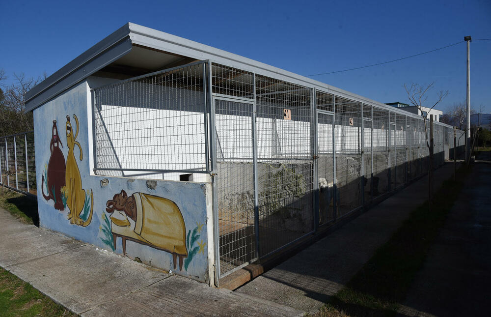 <p>Udruženje glumaca organizovalo posjetu skloništu na Vrelima, pozvali i druge da učine isto</p>