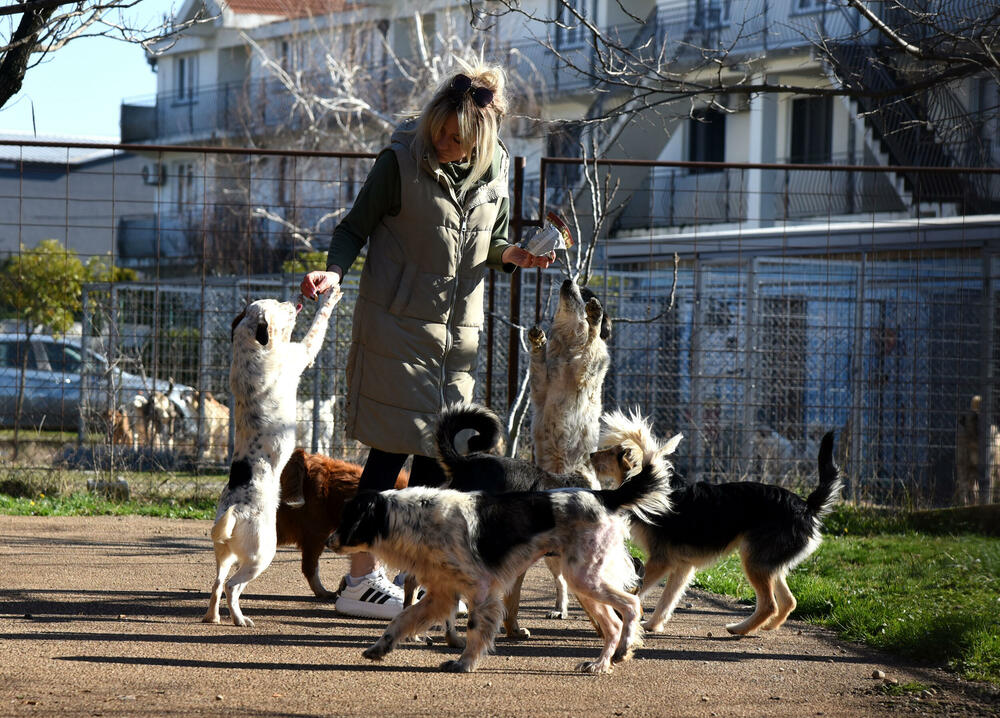 <p>Udruženje glumaca organizovalo posjetu skloništu na Vrelima, pozvali i druge da učine isto</p>