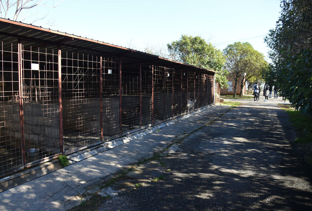 <p>Udruženje glumaca organizovalo posjetu skloništu na Vrelima, pozvali i druge da učine isto</p>