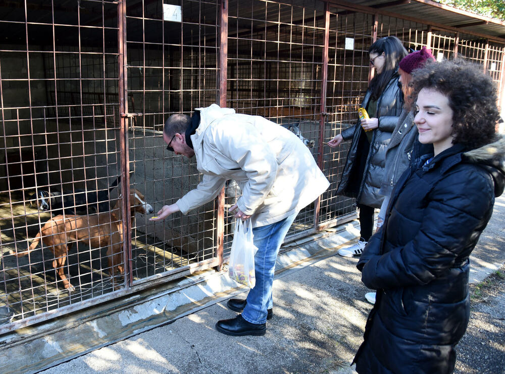 <p>Udruženje glumaca organizovalo posjetu skloništu na Vrelima, pozvali i druge da učine isto</p>