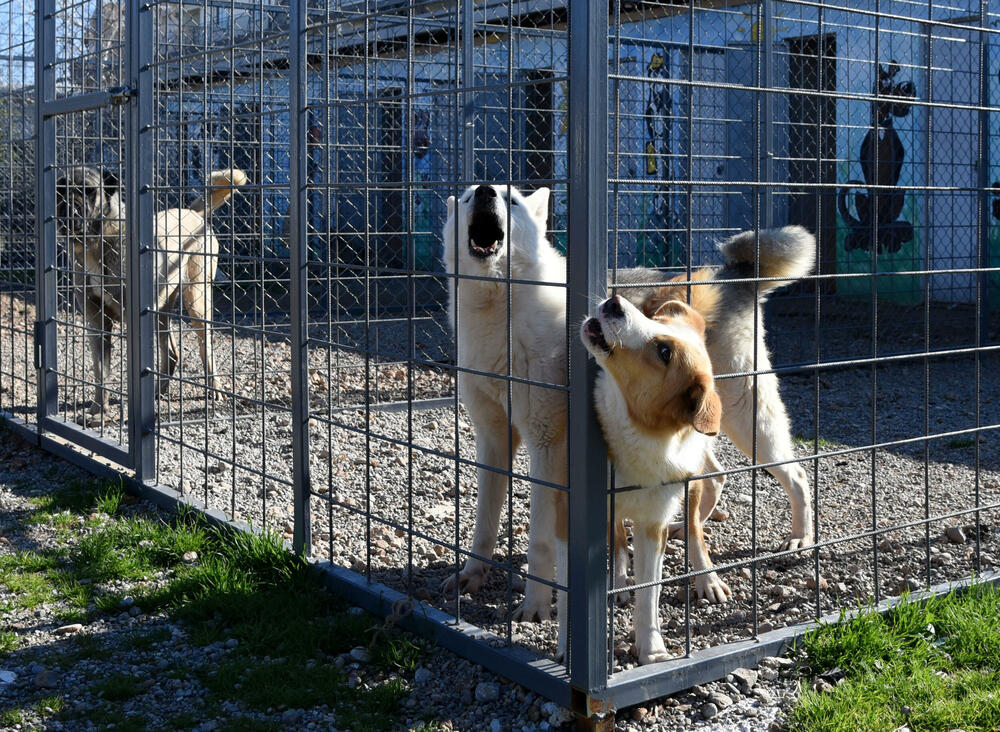<p>Udruženje glumaca organizovalo posjetu skloništu na Vrelima, pozvali i druge da učine isto</p>