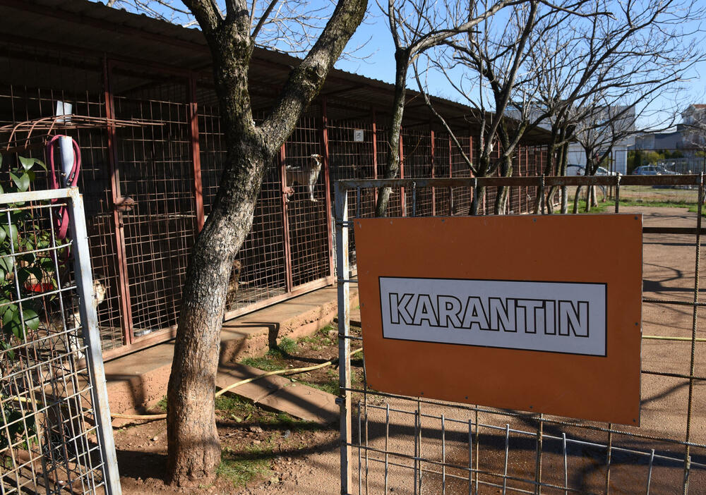 <p>Udruženje glumaca organizovalo posjetu skloništu na Vrelima, pozvali i druge da učine isto</p>