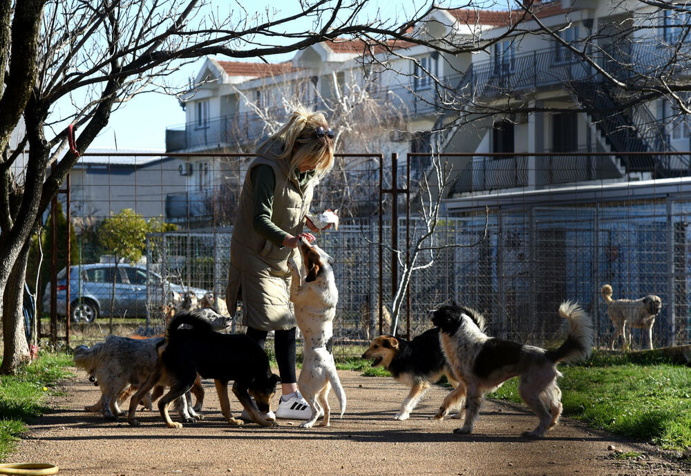 <p>Udruženje glumaca organizovalo posjetu skloništu na Vrelima, pozvali i druge da učine isto</p>
