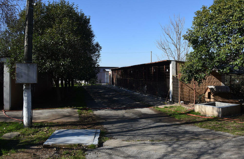 <p>Udruženje glumaca organizovalo posjetu skloništu na Vrelima, pozvali i druge da učine isto</p>