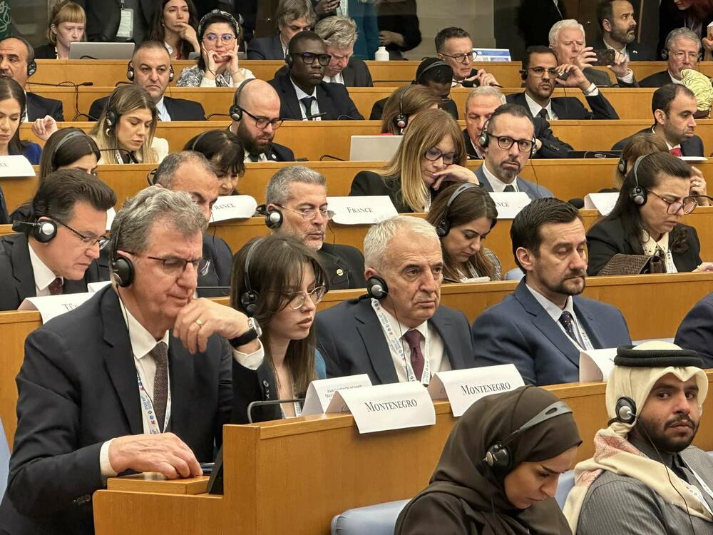 <p>Delegacija Skupštine Crne Gore u Parlamentarnoj skupštini Mediterana (PAM), na čelu sa Đurovićem koji je šef delegacije, učestvovala je na 19. plenarnom zasijedanju PAM-a, koje je u četvrtak i danas održano u Rimu</p>