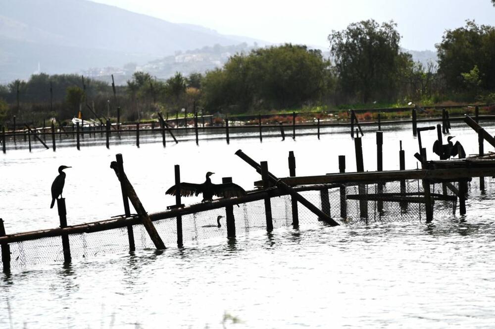 Jasnina putovanja Albanija