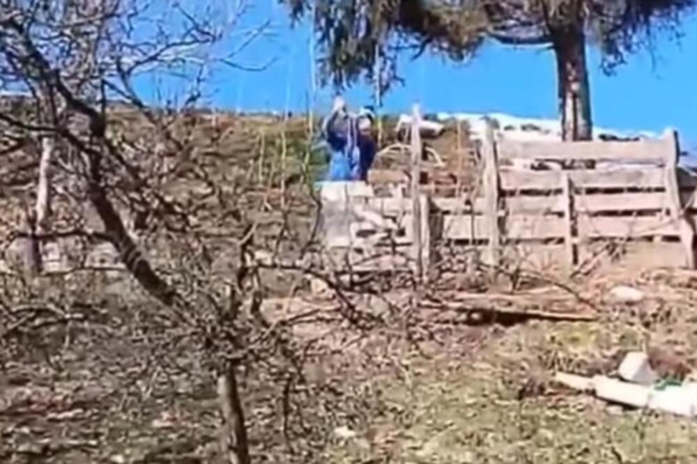 Detalj sa snimka, Foto: Screenshot